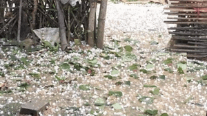 Mưa đá chiều 30 tết làm hư hỏng tài sản nhiều nhà dân